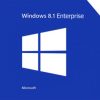 Microsoft Windows 10 Enterprise Lisans Anahtarı